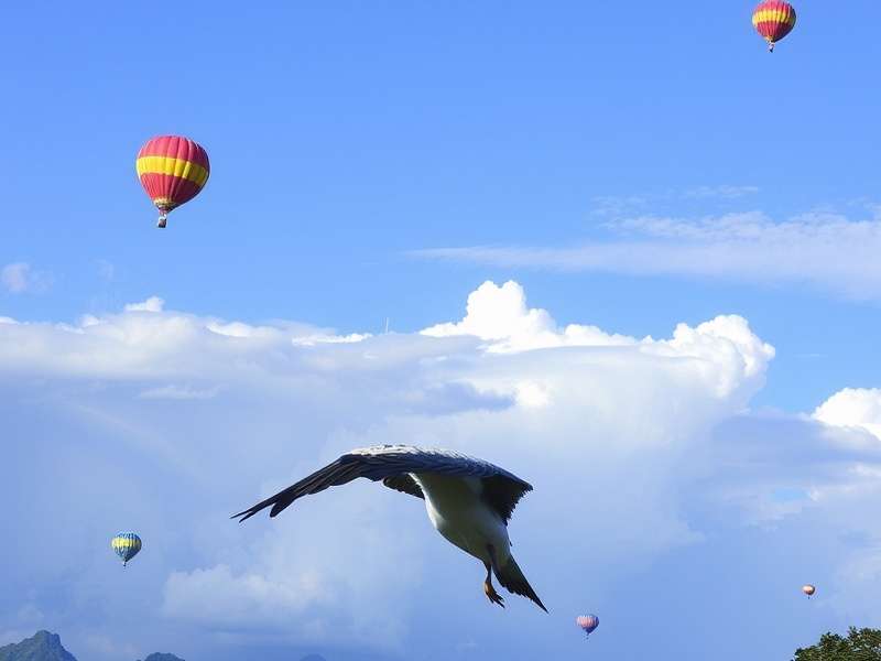 不锈钢配件产品